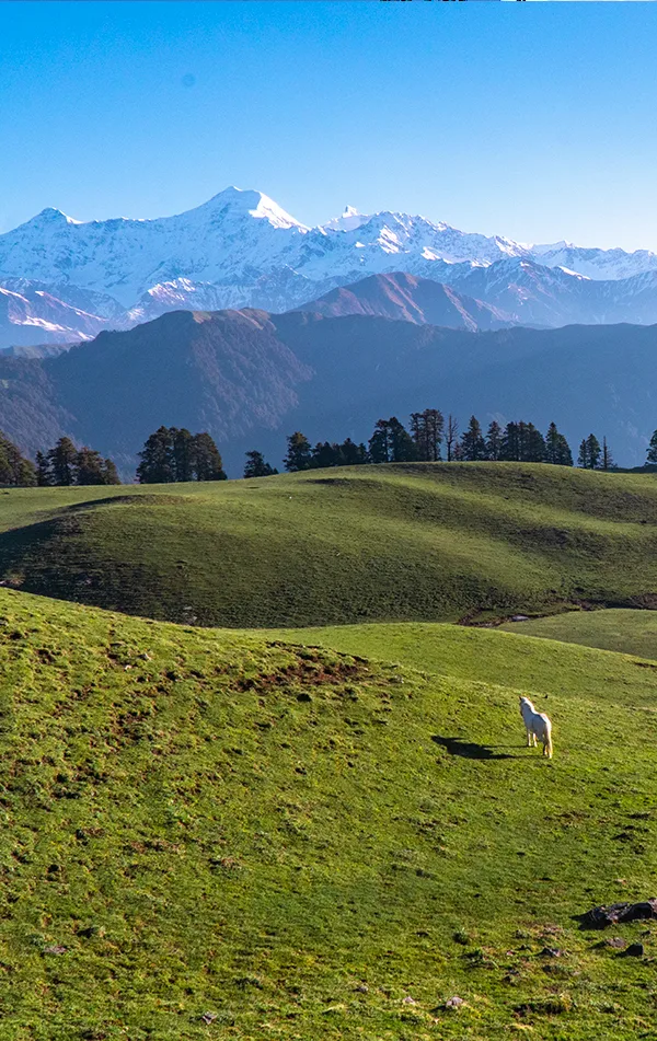 Dayara Bugyal Trek